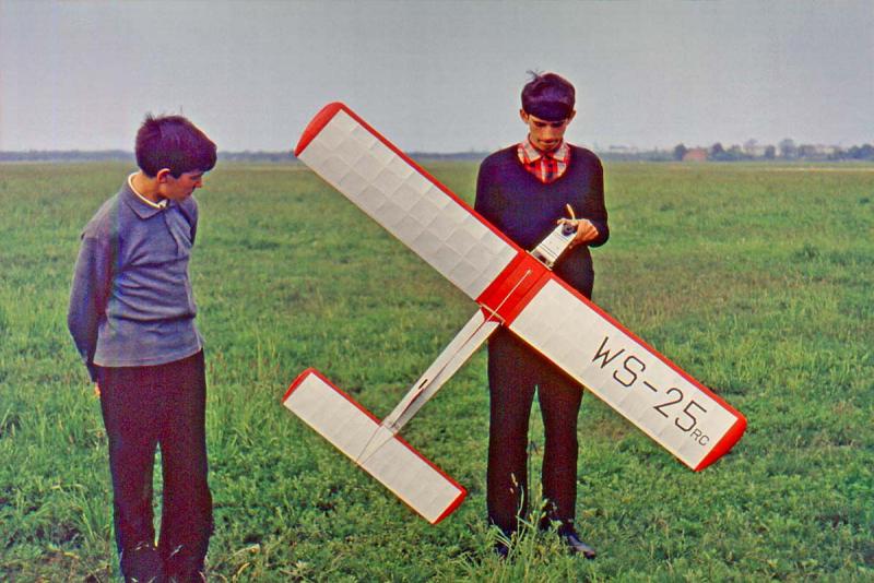 Wicherek04.jpg