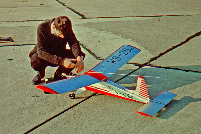 Wicherek03.jpg