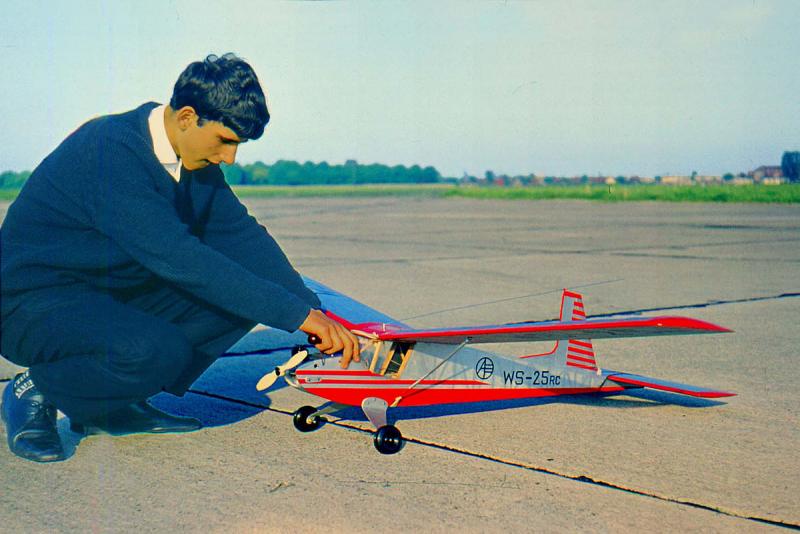 Wicherek05.jpg