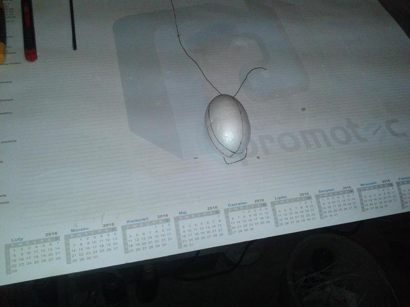 20170225_153125.jpg