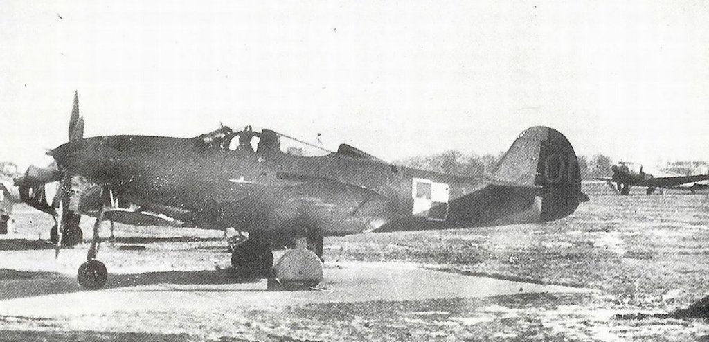 Bell_P-39Q_Airacobra_01.thumb.jpg.719be460678943fd100f0a0f60d648b6.jpg
