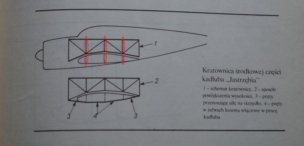 Kratownica Jastrzębia- Węzły.jpg