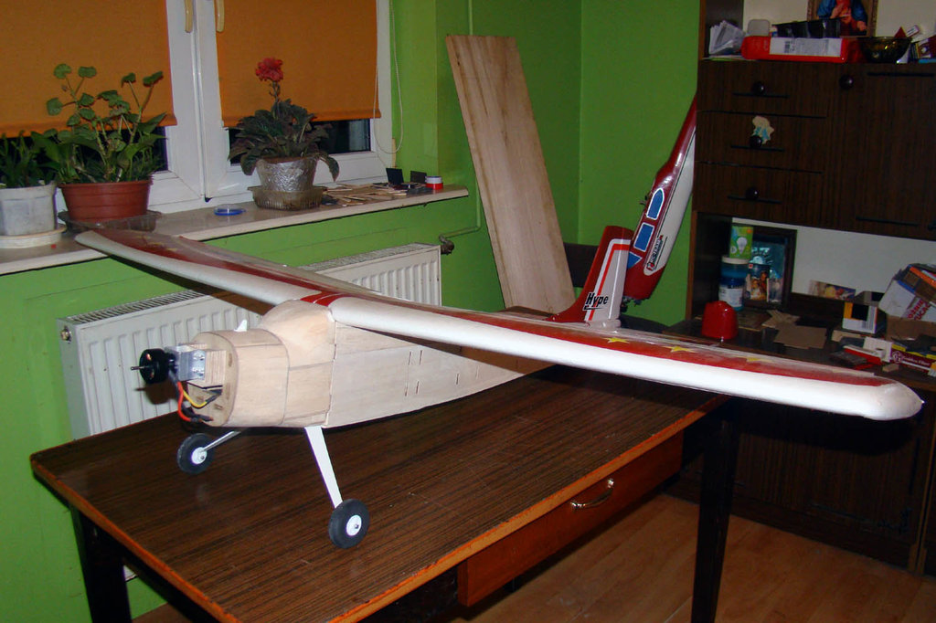 Przymiarka skrzydeł i usterzenia.jpg