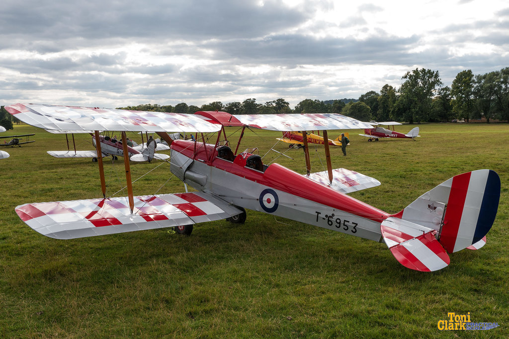 Tiger-Moth-G-ANNI-T-6953-250-1.jpg