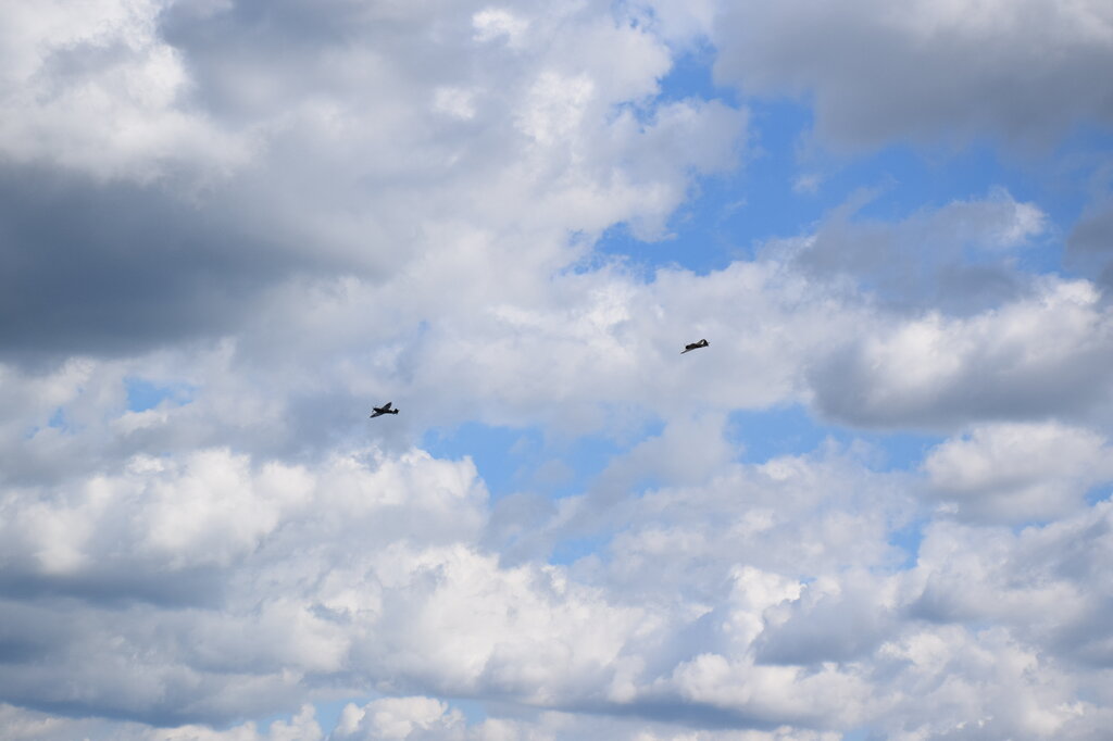 DSC_0088 — kopia.JPG