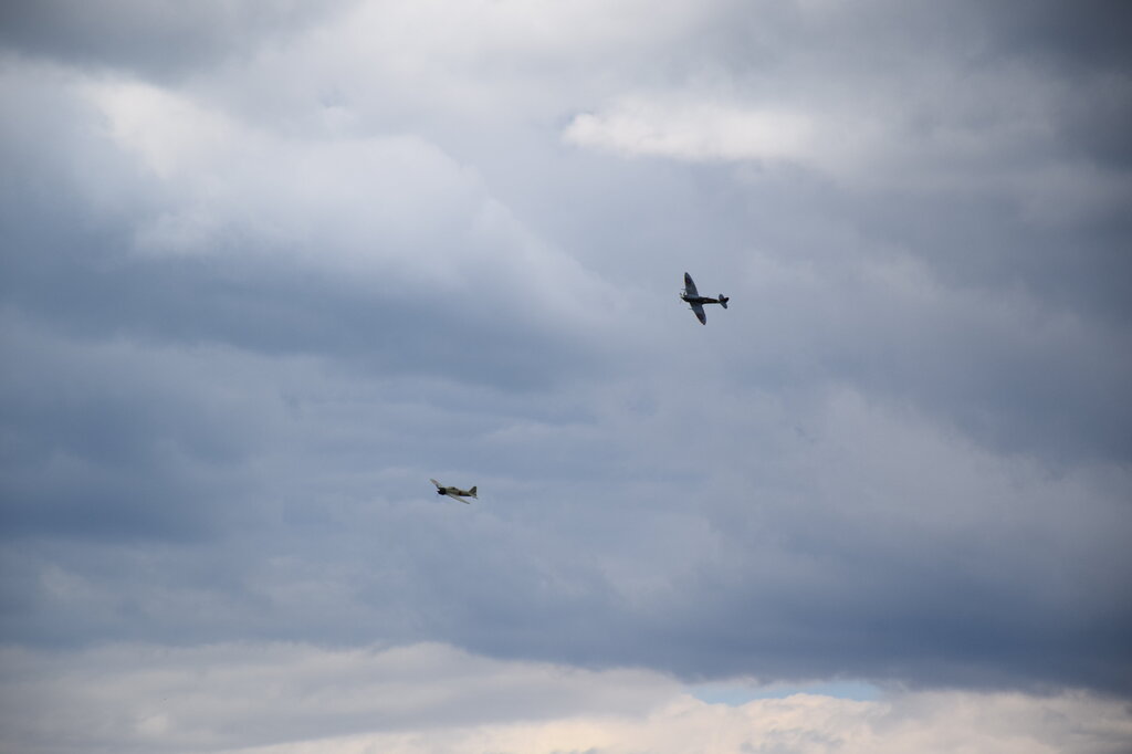 DSC_0101 — kopia.JPG