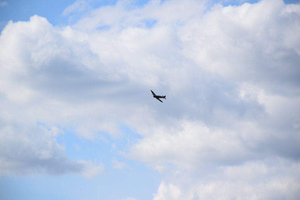 DSC_0010 — kopia.JPG