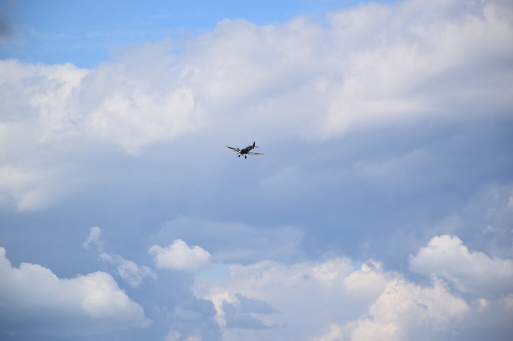 DSC_0020 — kopia.JPG