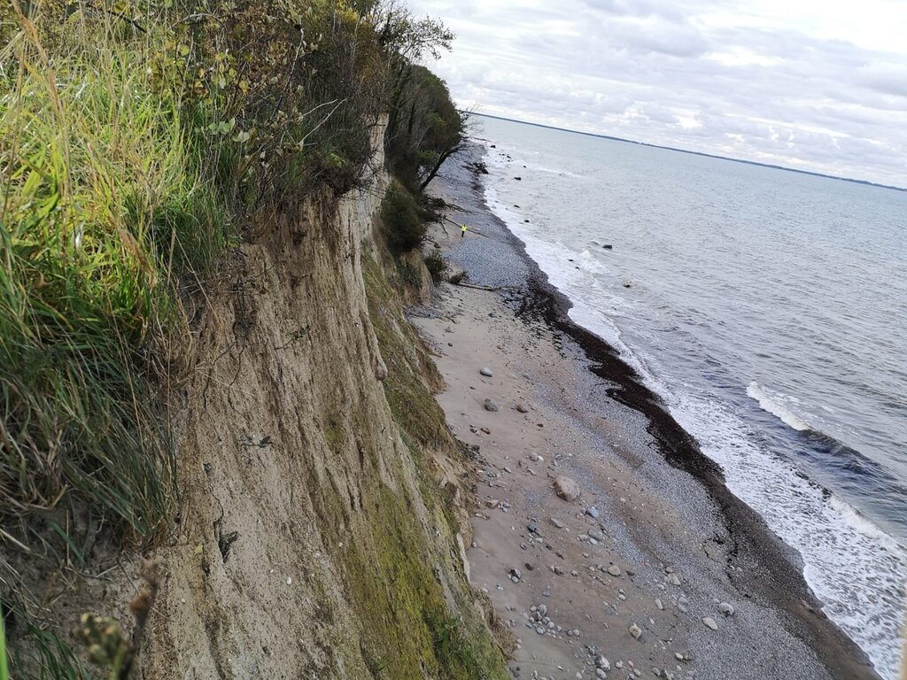 WhatsApp Image 2020-10-16 at 15.50.49.jpeg