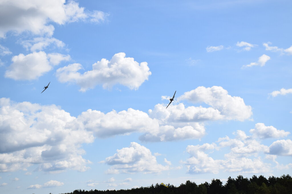 DSC_0121 — kopia.JPG