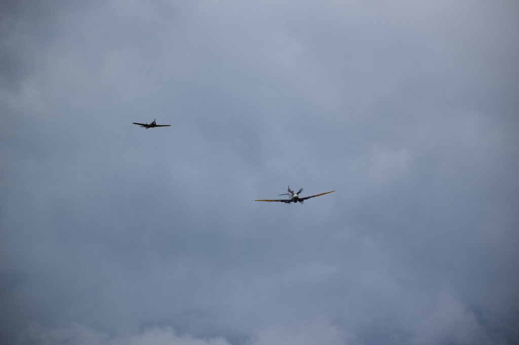 DSC_0111 — kopia.JPG