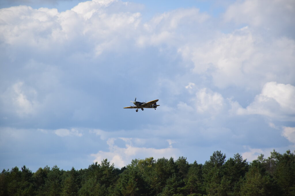 DSC_0046 — kopia.JPG