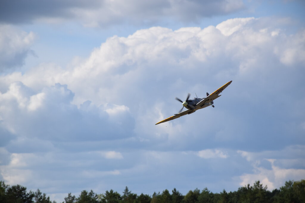 DSC_0036 — kopia.JPG