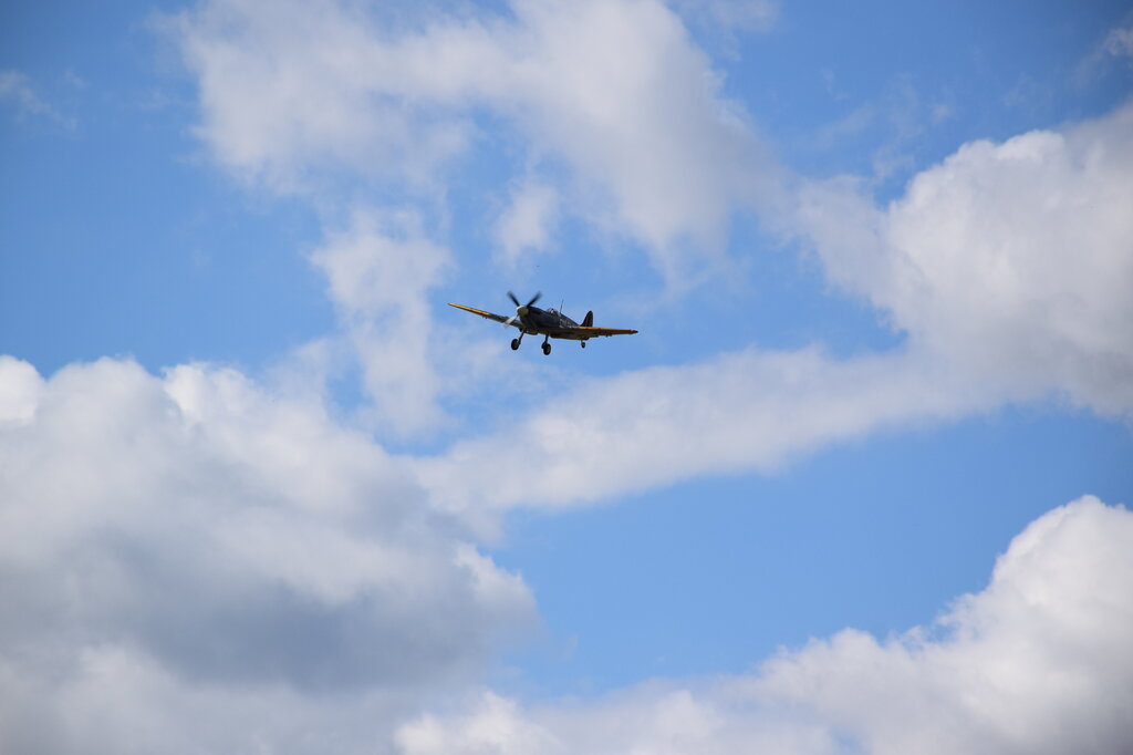 DSC_0018 — kopia.JPG