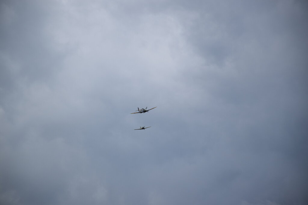 DSC_0106 — kopia.JPG