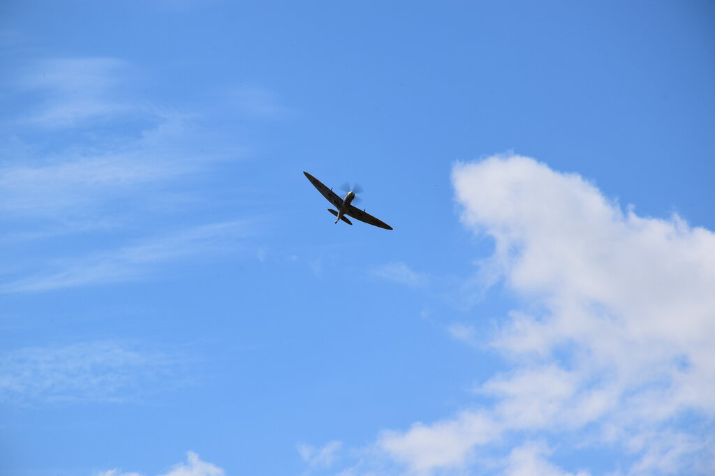 DSC_0005 — kopia.JPG