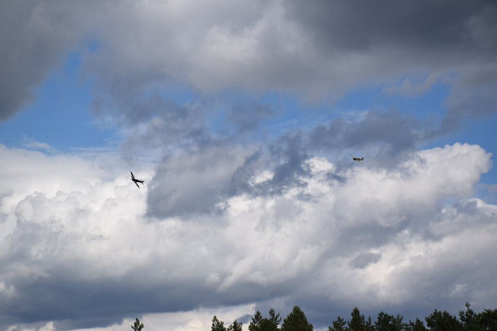 DSC_0091 — kopia.JPG