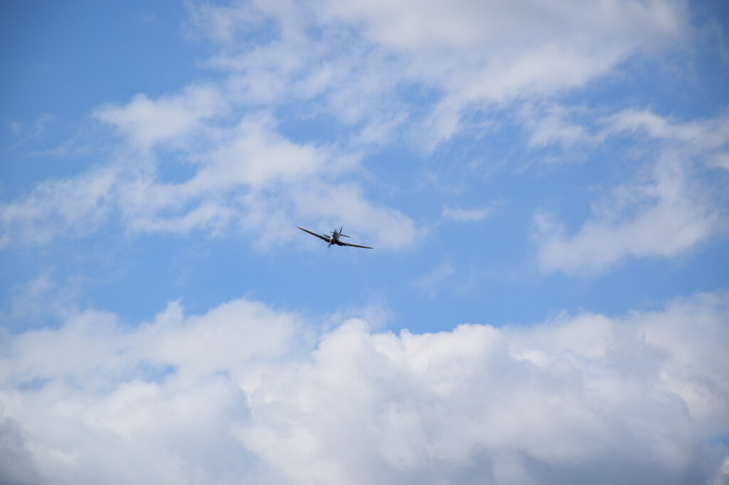 DSC_0008 — kopia.JPG