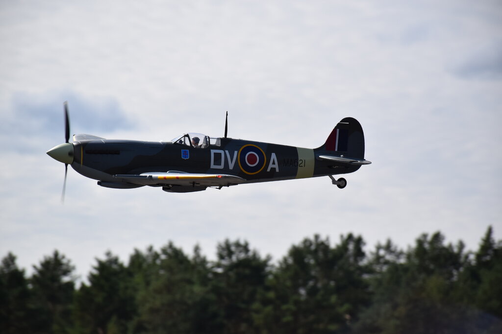 DSC_0041 — kopia.JPG