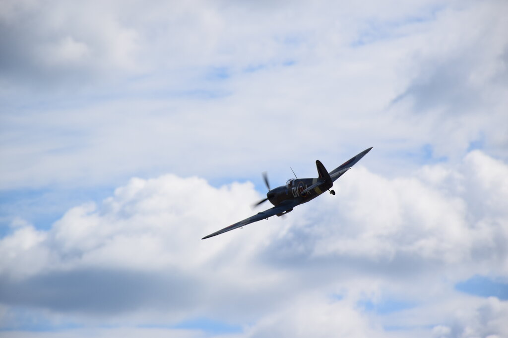 DSC_0043 — kopia.JPG