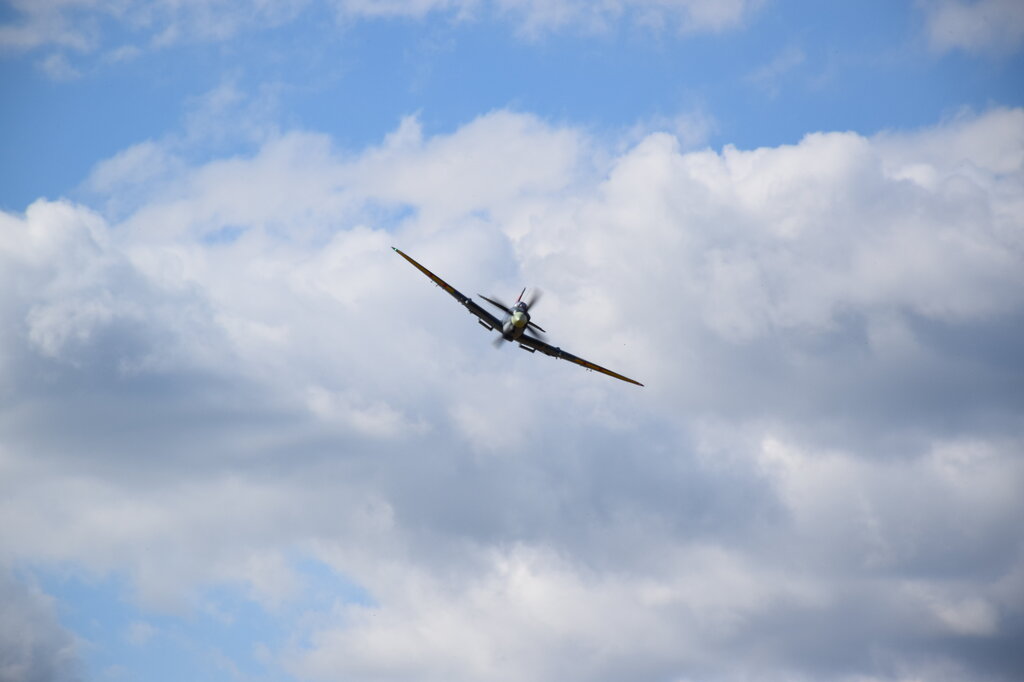 DSC_0009 — kopia.JPG