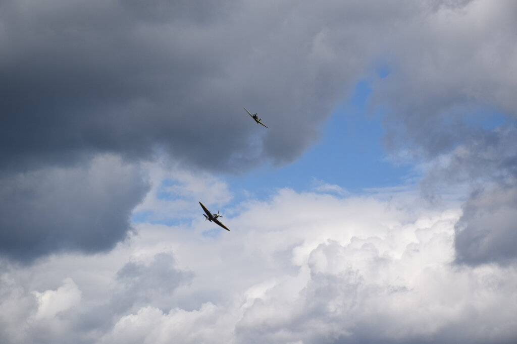 DSC_0093 — kopia.JPG