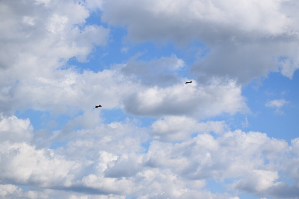 DSC_0087 — kopia.JPG