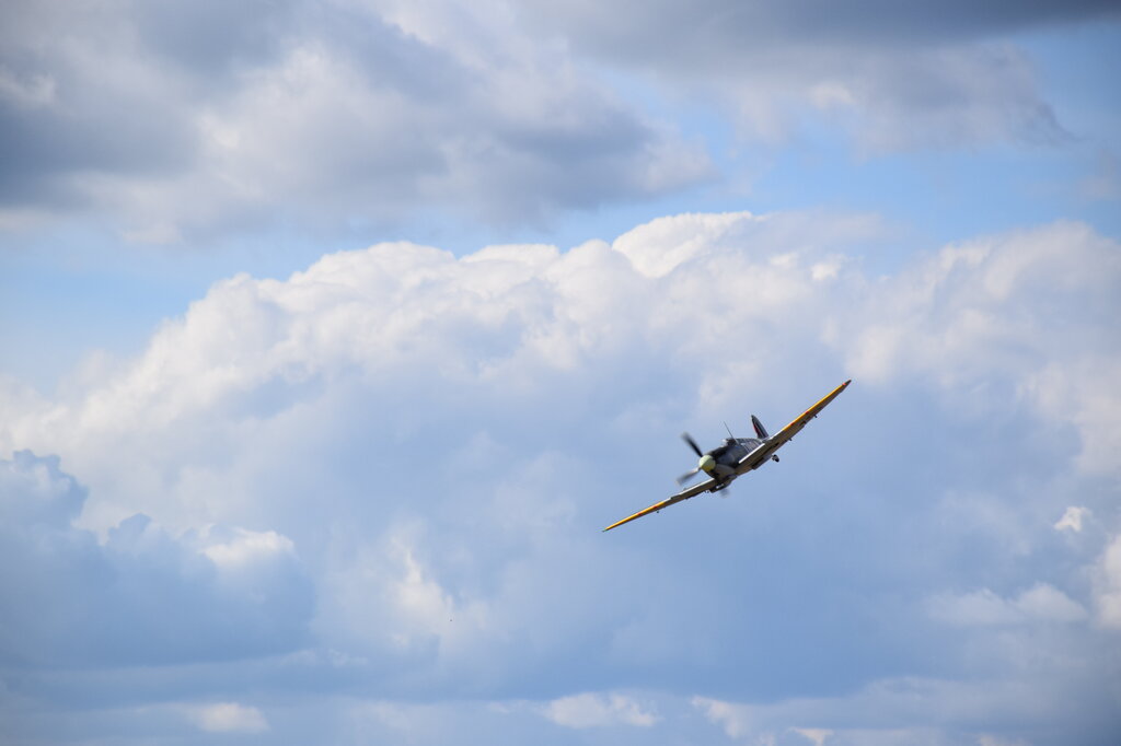 DSC_0035 — kopia.JPG