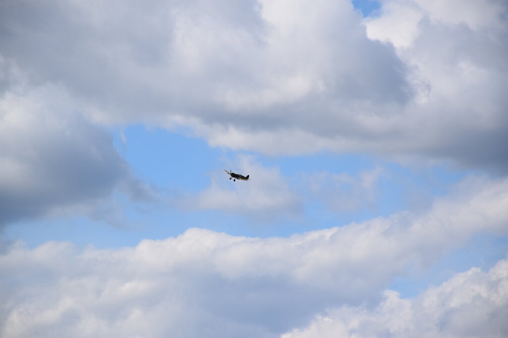 DSC_0017 — kopia.JPG