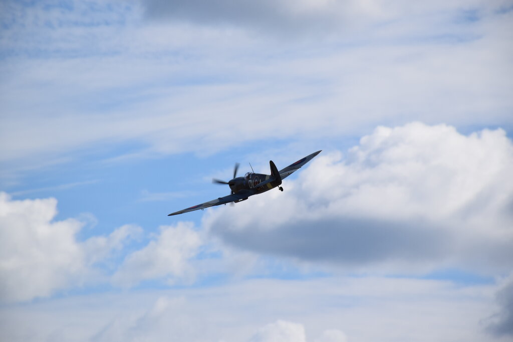 DSC_0044 — kopia.JPG