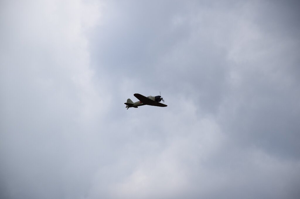 DSC_0081 — kopia.JPG