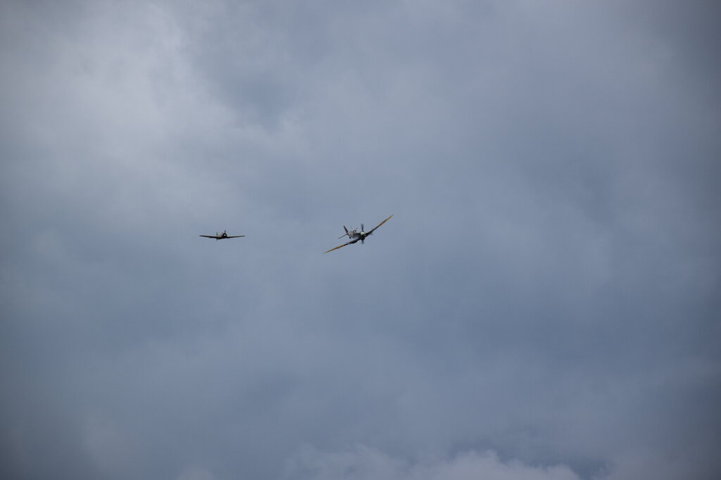 DSC_0108 — kopia.JPG