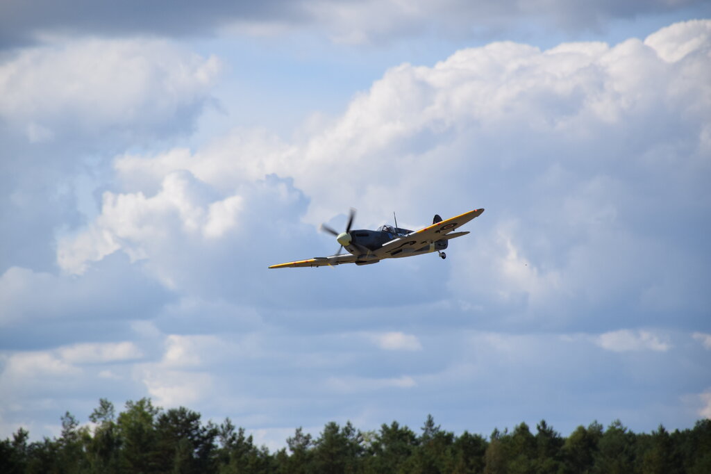 DSC_0037 — kopia.JPG