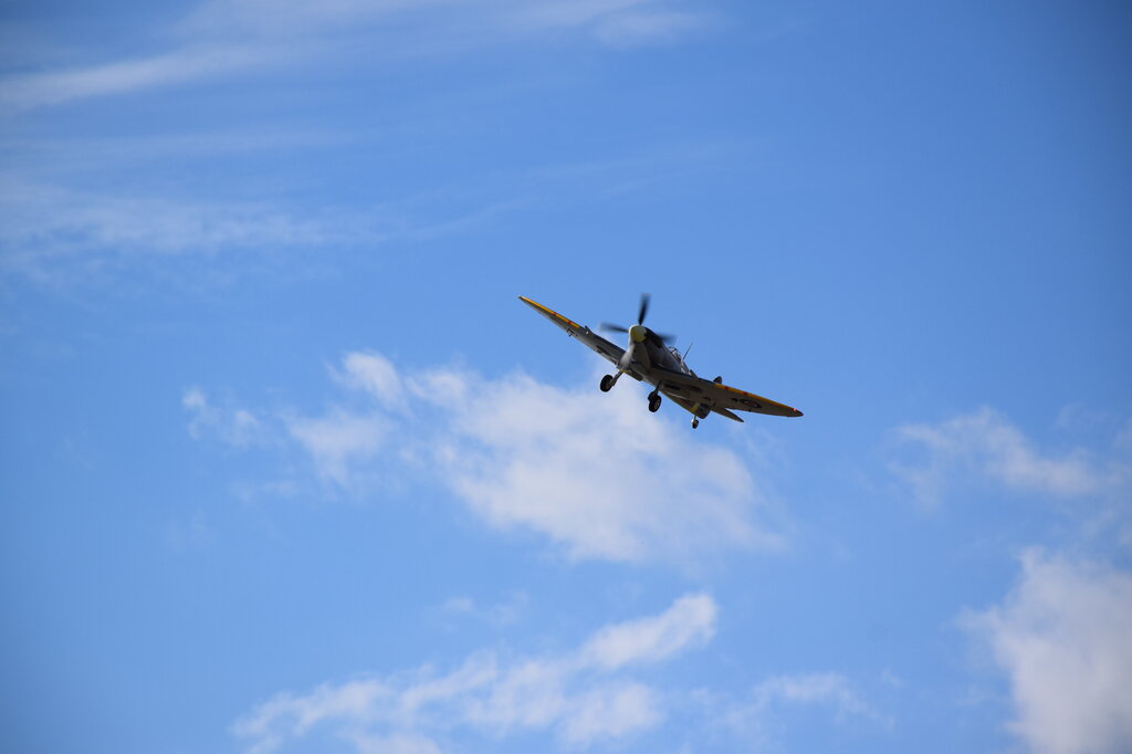 DSC_0019 — kopia.JPG