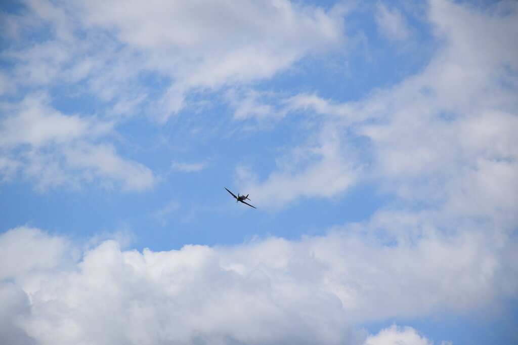 DSC_0006 — kopia.JPG