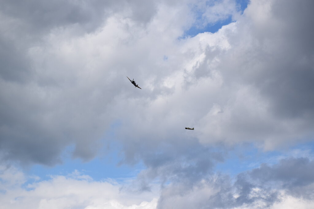 DSC_0083 — kopia.JPG