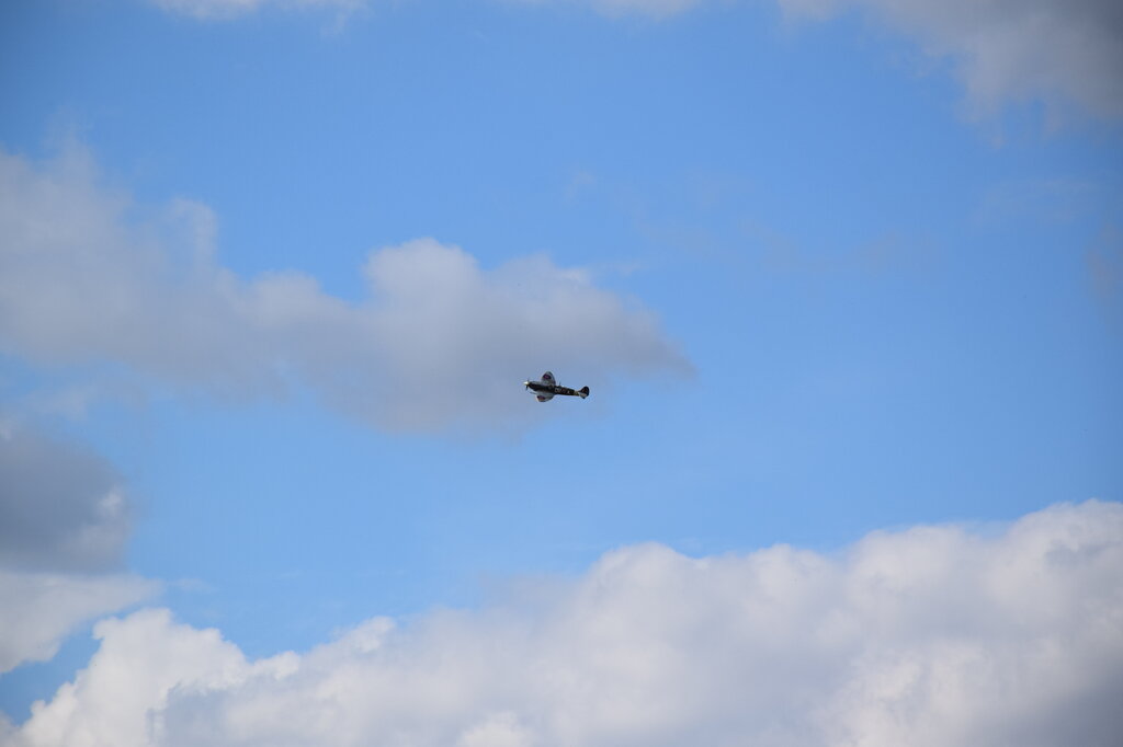 DSC_0013 — kopia.JPG