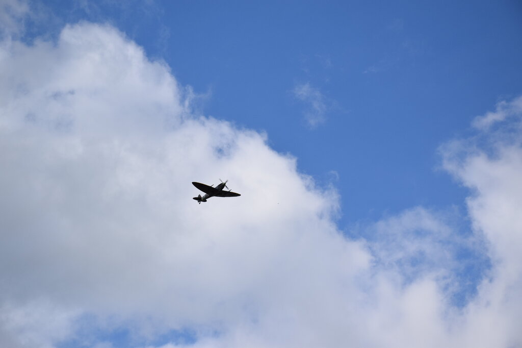 DSC_0080 — kopia.JPG