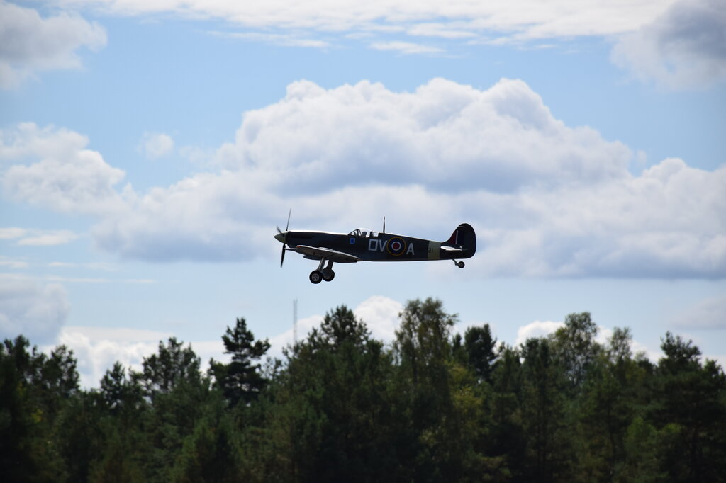 DSC_0049 — kopia.JPG