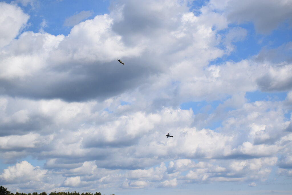 DSC_0097 — kopia.JPG