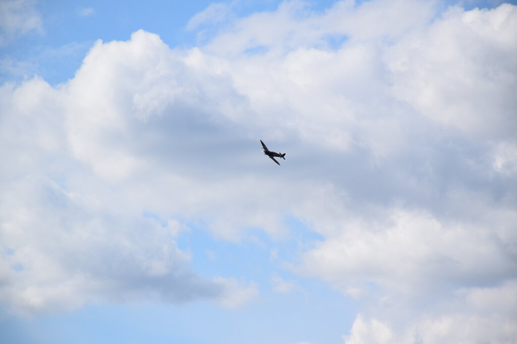 DSC_0011 — kopia.JPG