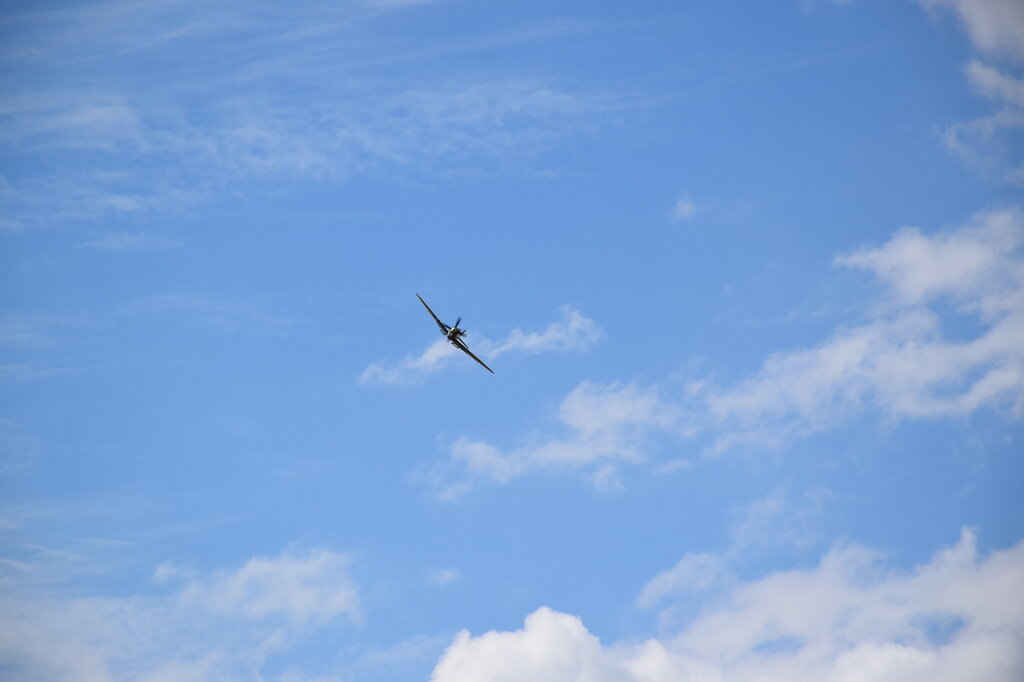 DSC_0012 — kopia.JPG