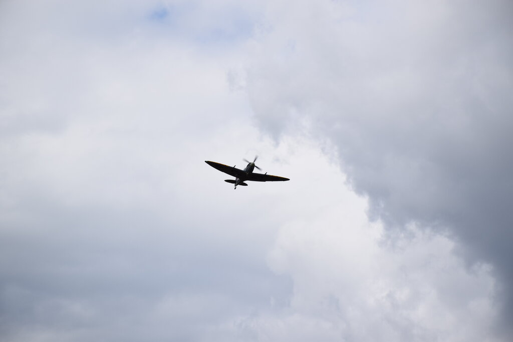 DSC_0135 — kopia.JPG