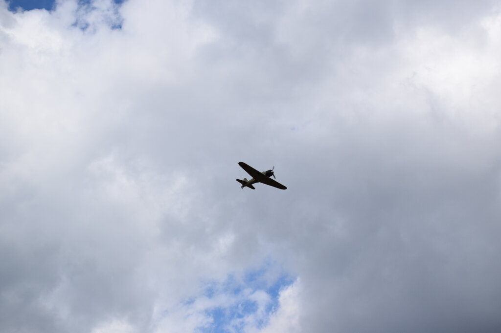 DSC_0086 — kopia.JPG