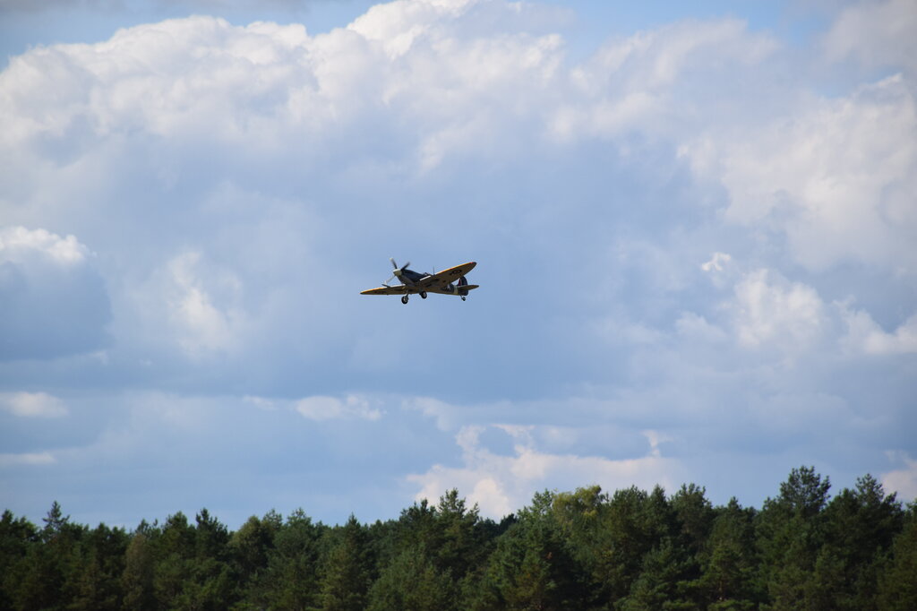 DSC_0047 — kopia.JPG