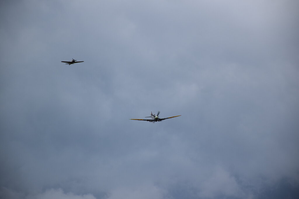 DSC_0112 — kopia.JPG