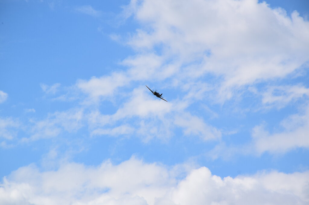 DSC_0004 — kopia.JPG