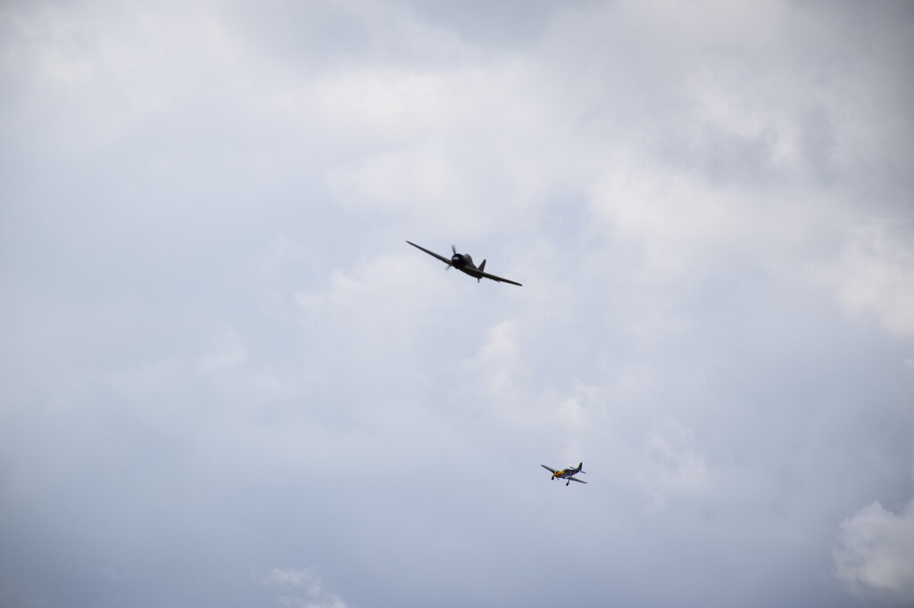 DSC_0079 — kopia.JPG