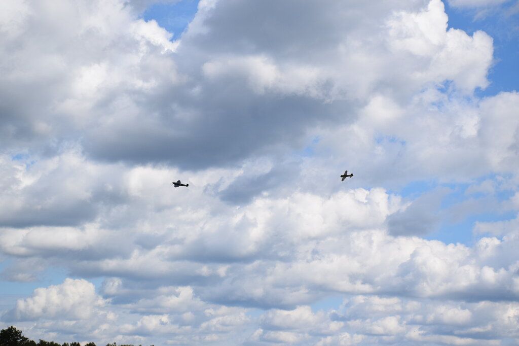 DSC_0123 — kopia.JPG