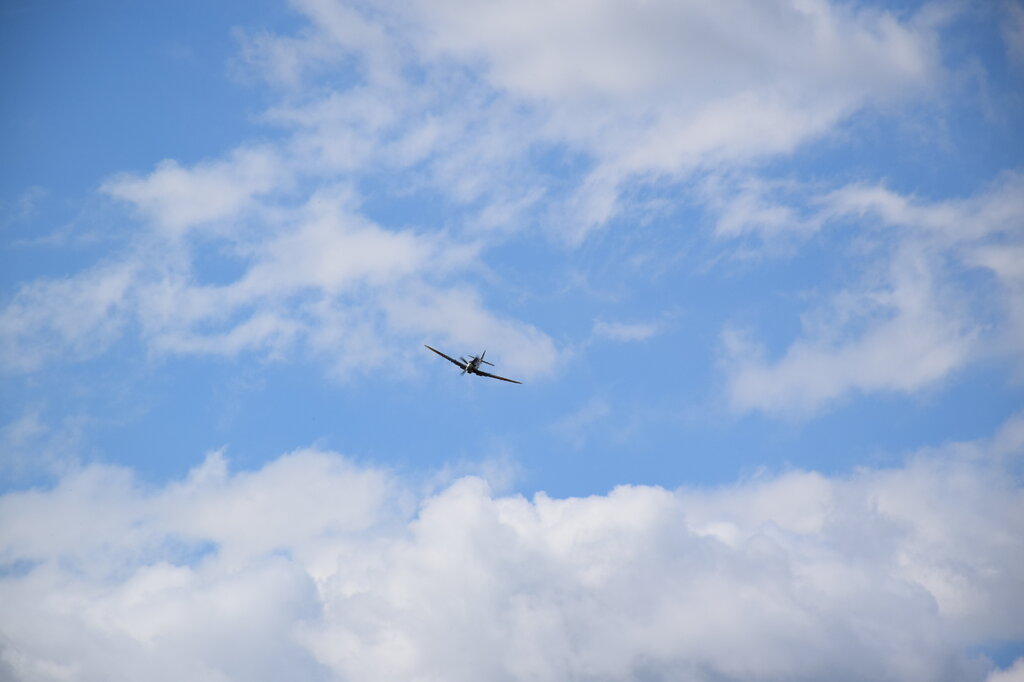 DSC_0007 — kopia.JPG